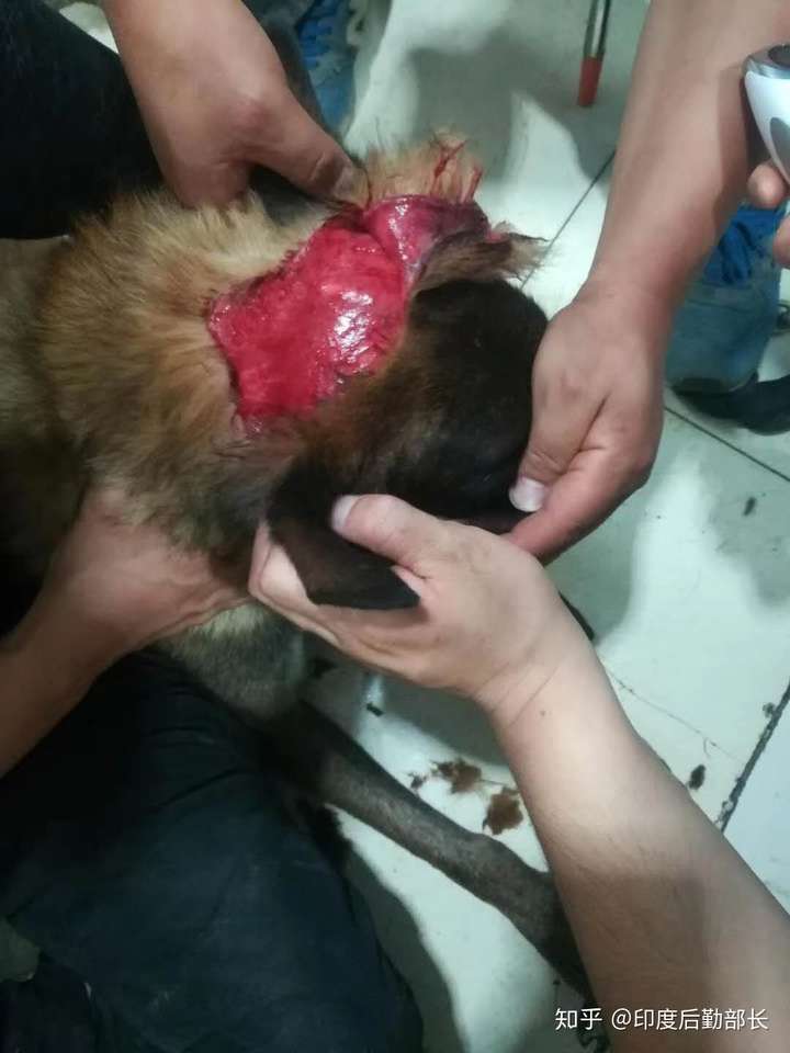 如何看待陕西宝鸡市凤翔县705杀人事件,嫌疑人何时归案?