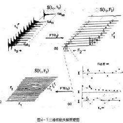 简谱核磁_颈椎核磁图片