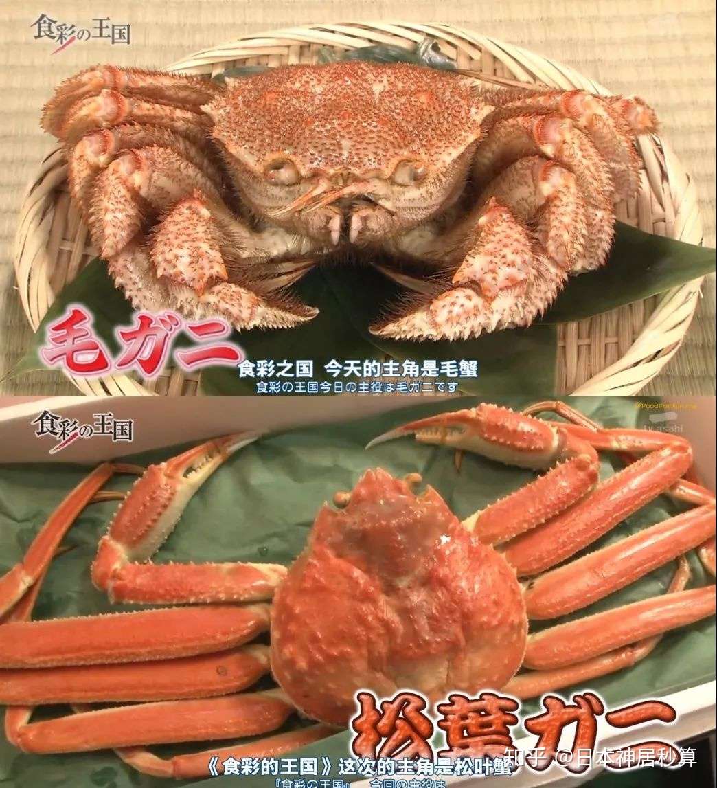 舌尖上的中国与日本 这是一篇来自吃货的安利 知乎