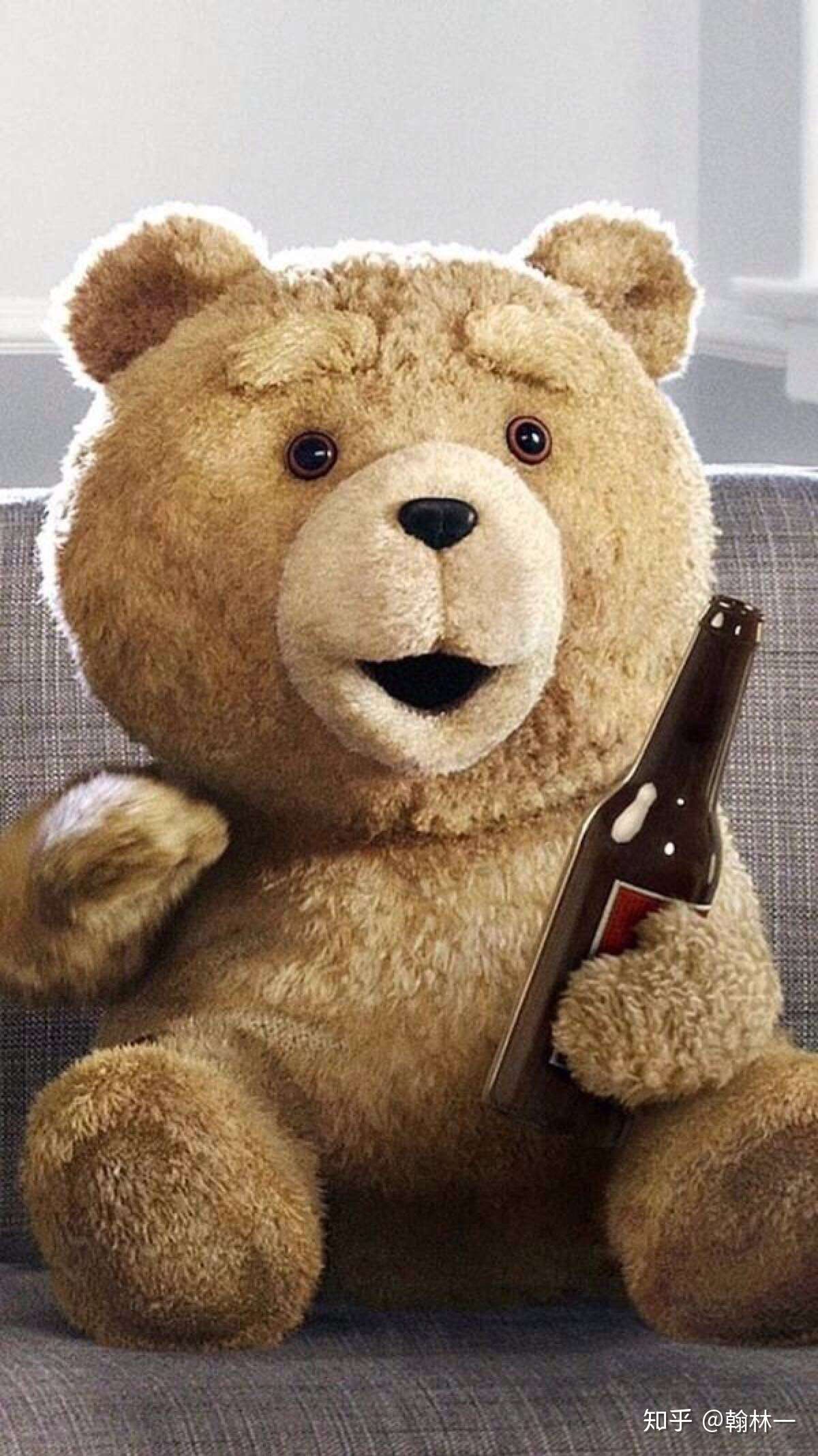 睡前故事 有一只泰迪熊呀 知乎