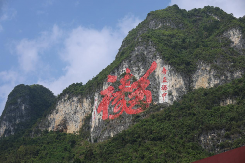 巴马黄金茶品牌发布会