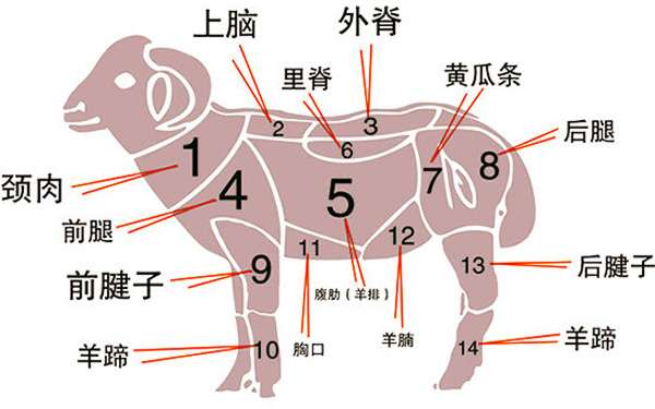 羊肉的部位图与做法攻略 知乎