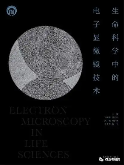 简述闰盘的超微结构? - 知乎