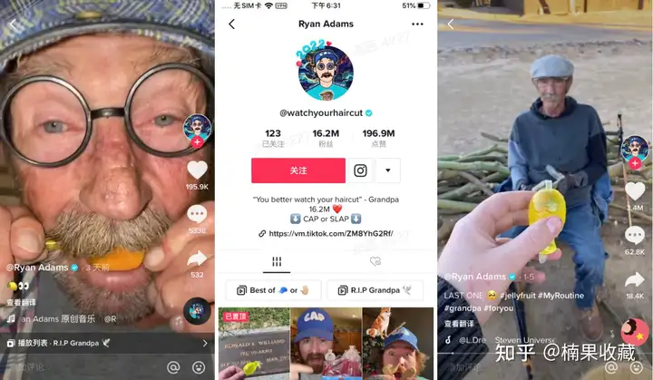 TikTok自然量研究和案例分享