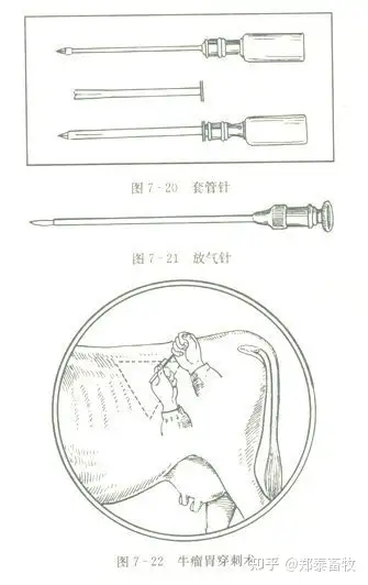 怎样对牛进行瘤胃穿刺放气