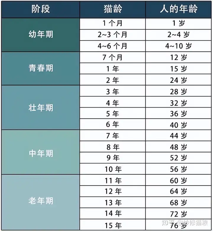 最新！猫咪年龄换算表，不要再搞错了！”