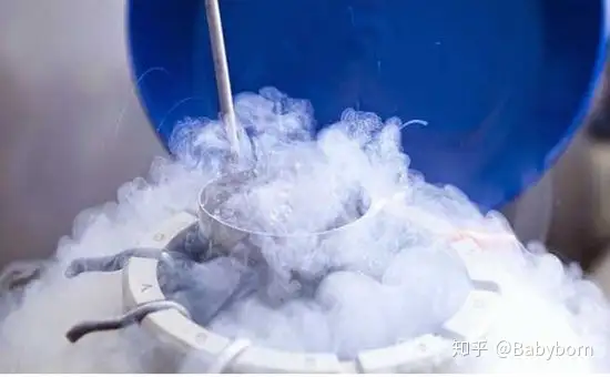 中国十大试管婴儿排名（干货 | 胚胎解冻和移植全过程）