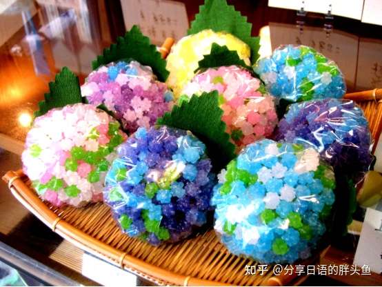 日本的紫阳花文化 知乎
