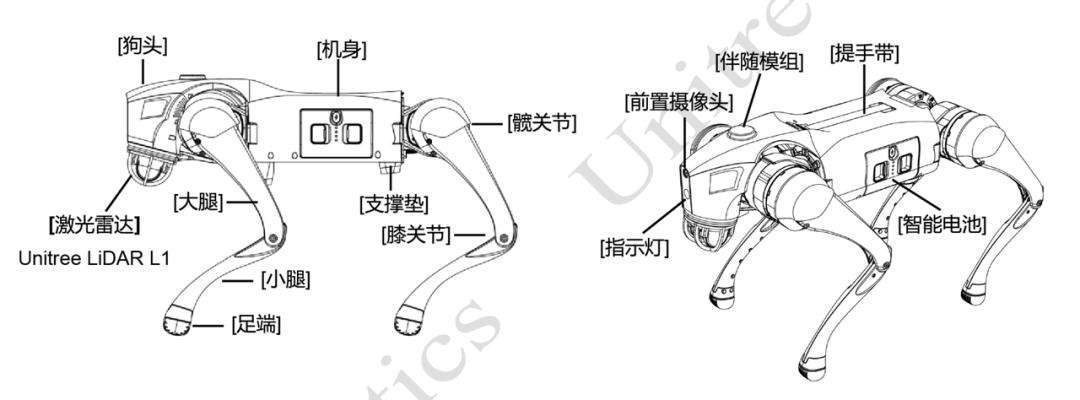 他们把宇树的网红机器狗「剥皮拆骨」，发现了它倒立行走的秘密
