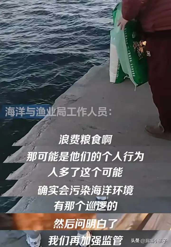 葫芦岛有多人往海里“放生”大米插图2