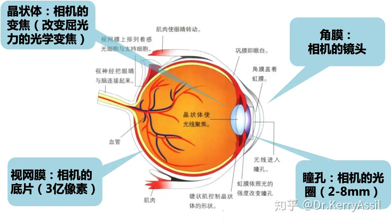 屈光近视手术基础知识科普——仅矫正视力已经过时了- 知乎