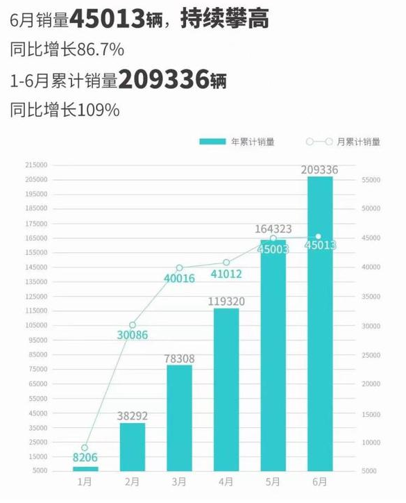 新能源电动车排名前十名 女士新能源小型车