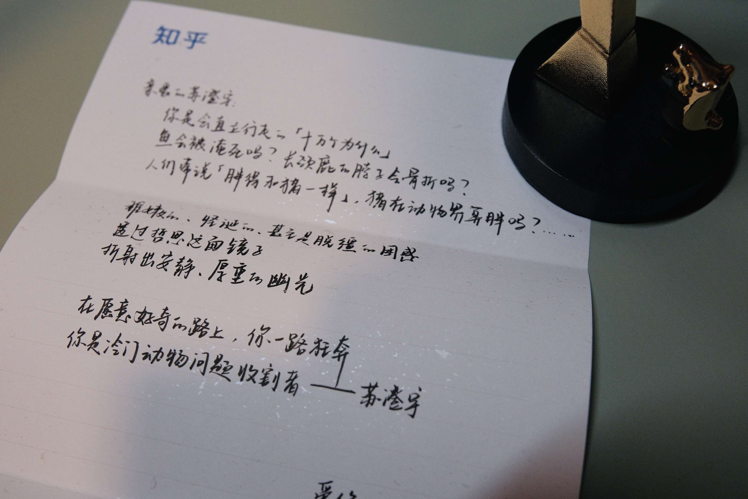 朦胧影绰;而深夜降临,「灯」被点起,也像此时此刻的思绪,清晰明亮