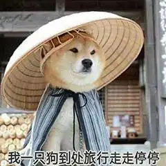 可爱沙雕柴犬表情包:人生真是寂寞如雪啊