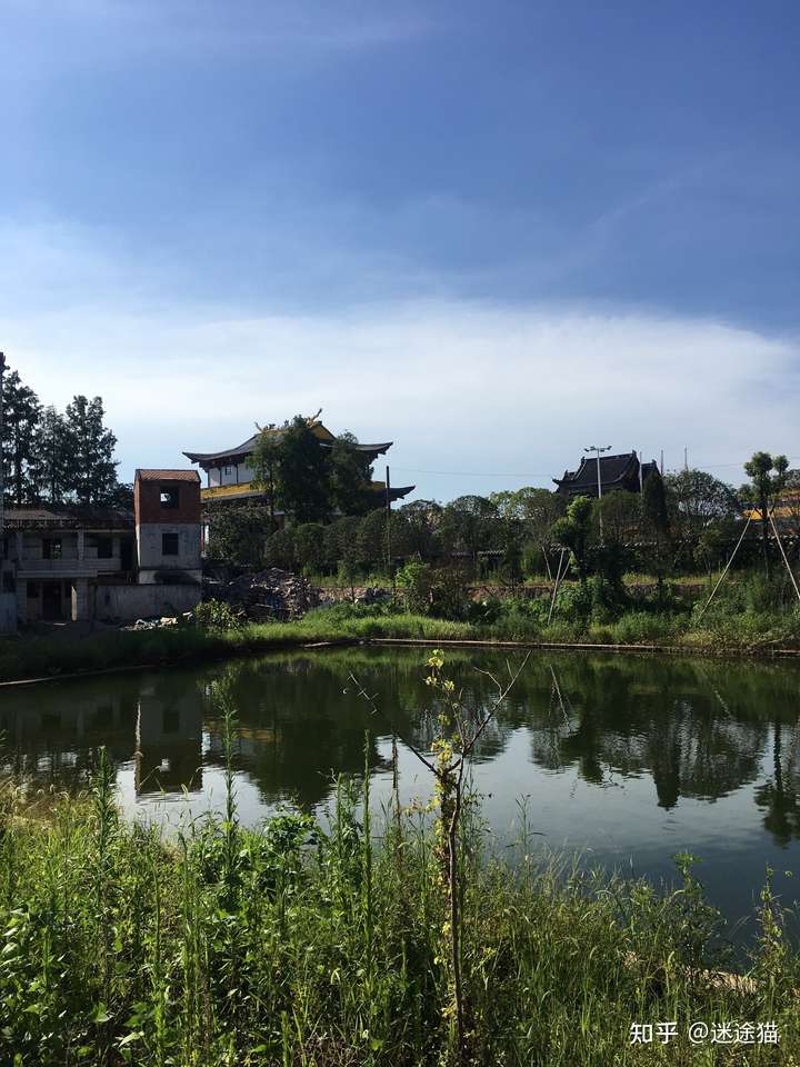 你见过有夏天感觉的图片?