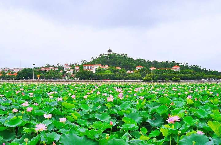 东莞旅游必去十大景点 东莞一日游必去的地方