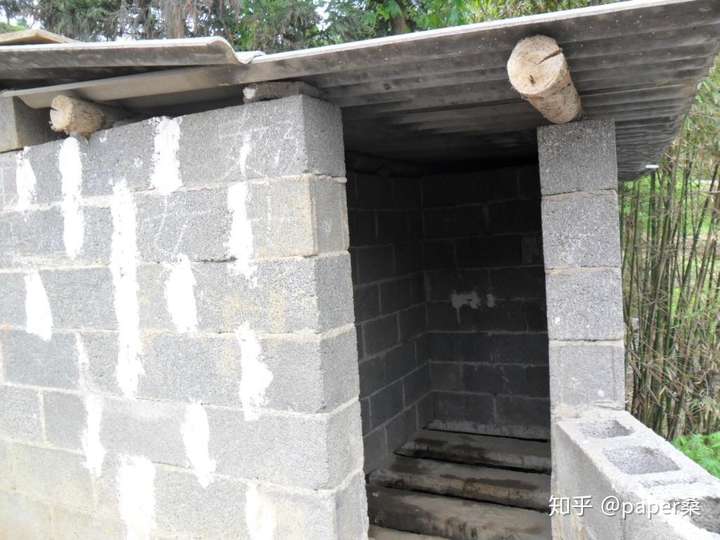 农村很多厕所都是室外,更甚是露天,而且是那种原始的粪坑,就是里面有