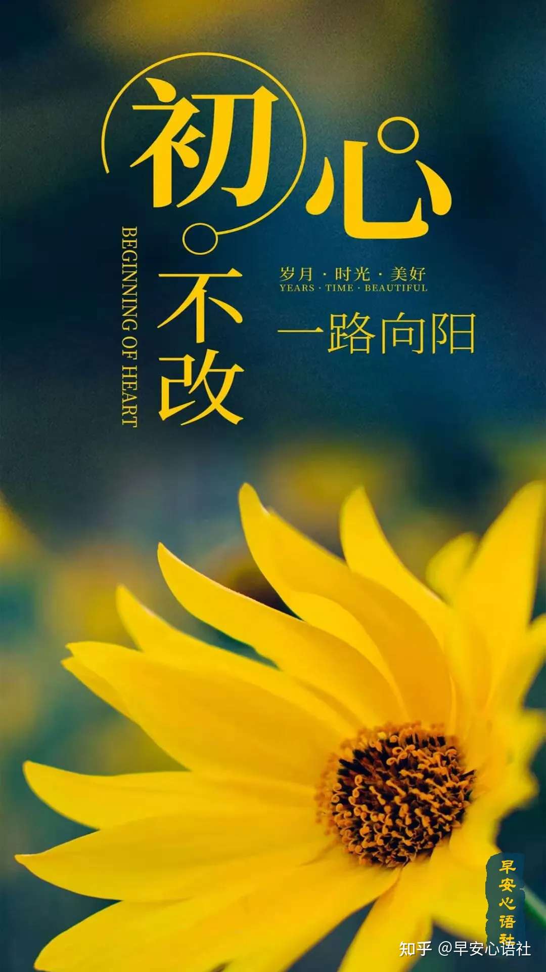 早安心语优质精炼短句 句句走心 手工设计配图 图图精美 知乎