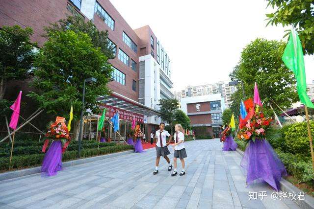 南山区的国际学校,你知道有多少所吗?(一)