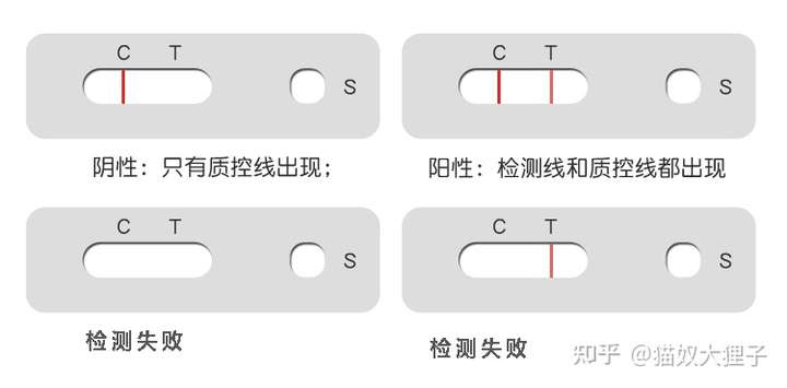 猫瘟病毒试纸检测结果指示