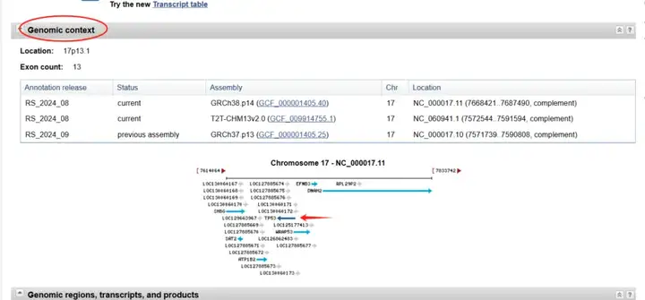 《NCBI保姆级使用教程（包含如何查找CDS、启动子、5'UTR和3'UTR、lncRNA序列）》