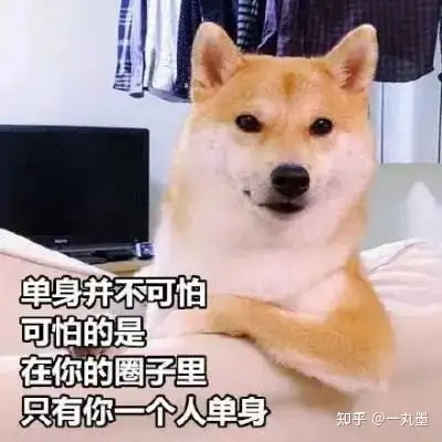 520有趣文案