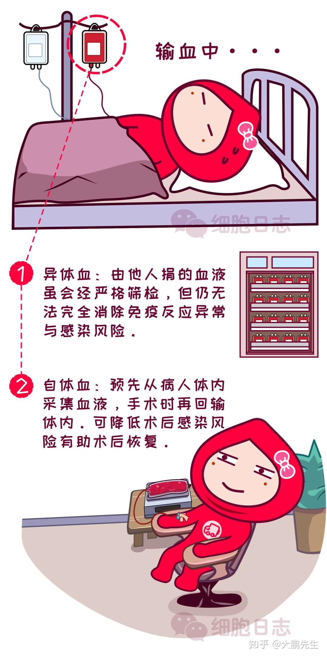 知乎专栏