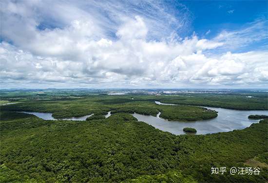 亞馬遜河