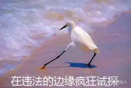 如何看待孙宇晨456万美元拍下巴菲特天价午餐?