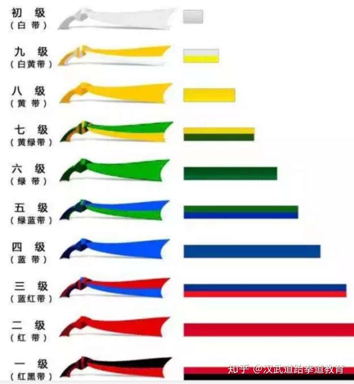 跆拳道品势服颜色规定图片