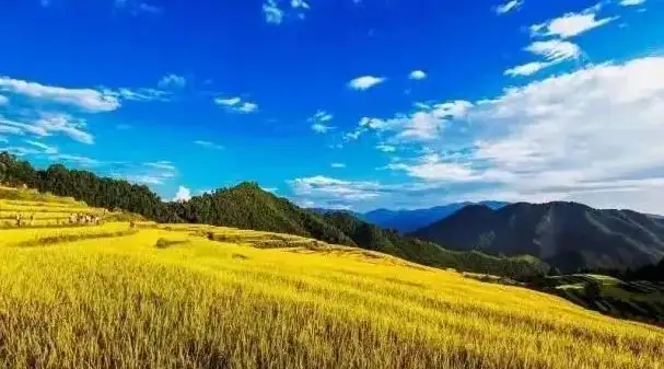 国庆后适合秋游的小众旅行地！