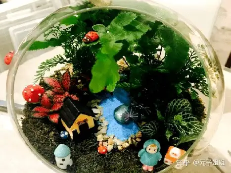 五四青年节有哪些活动推荐？
