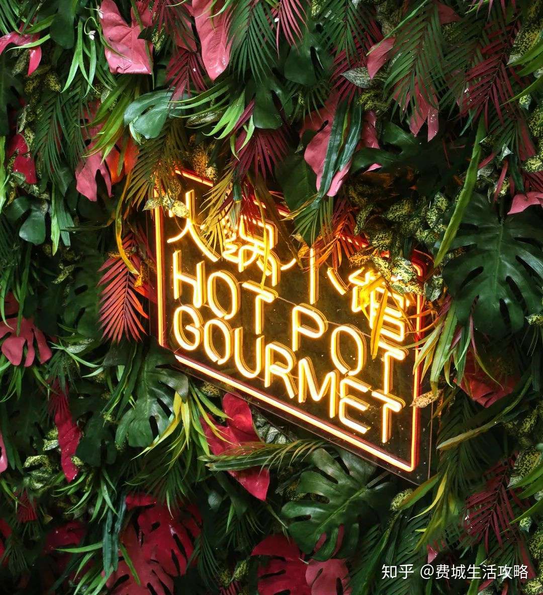 心服口服 没吃过费城这家 最成都 的麻辣牛油火锅 都不好意思说自己懂生活 知乎