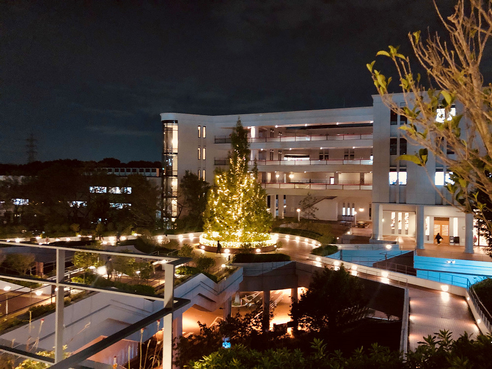 堂々と中央 中央大学巡礼 知乎