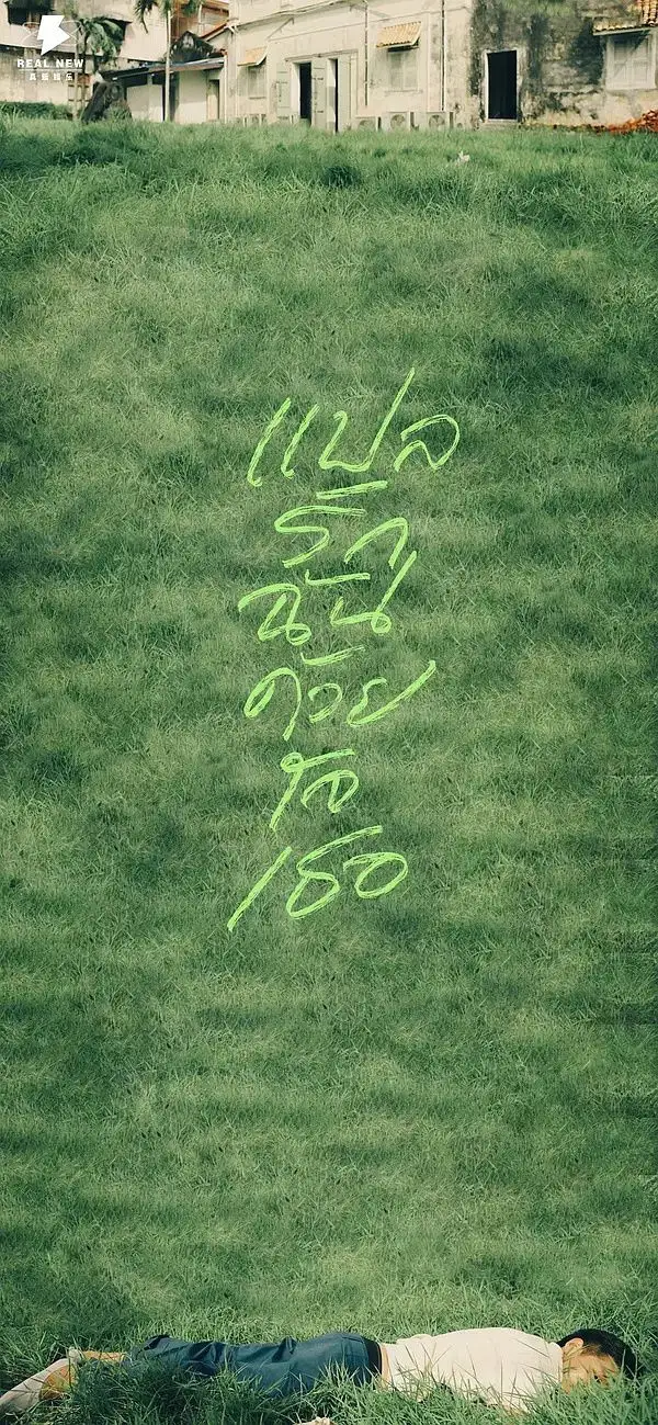 有哪些让你一眼万年的绿色系壁纸？(绿色壁纸大全图片清新自然)