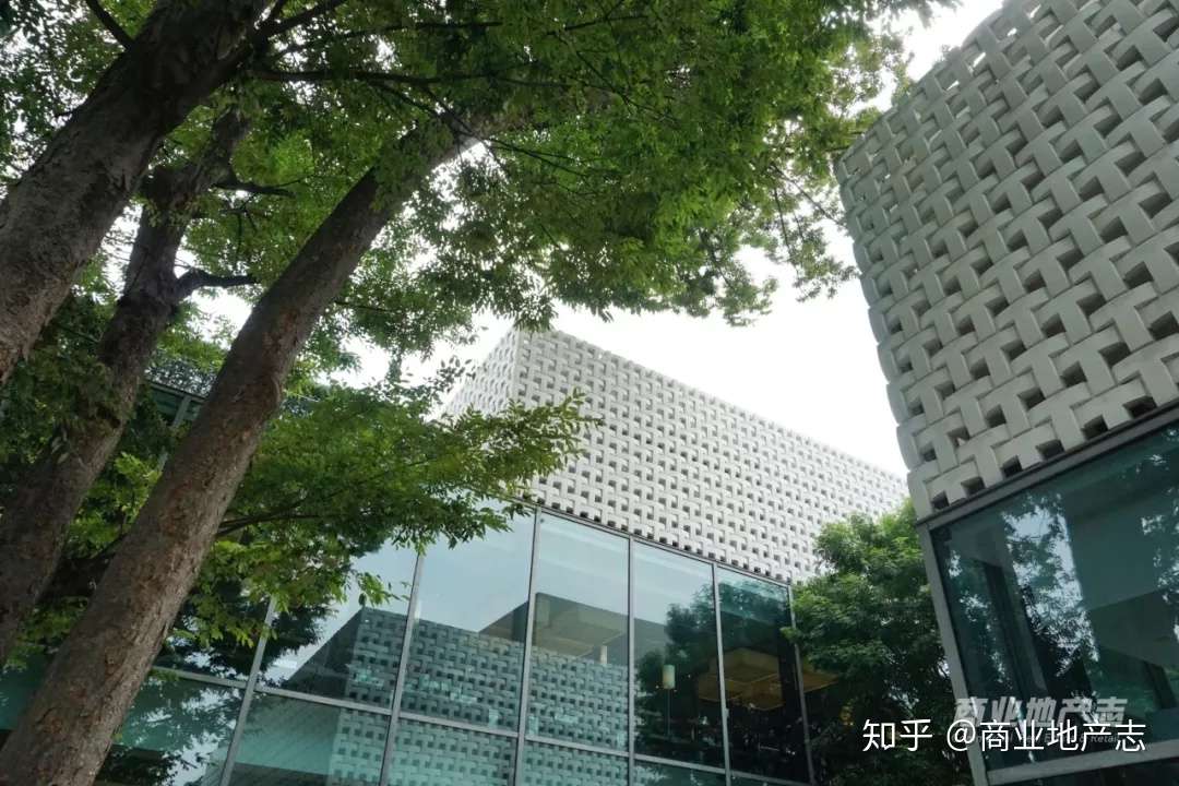 ESOW 原画 2点 SET --- 代官山 TSUTAYA展示作品