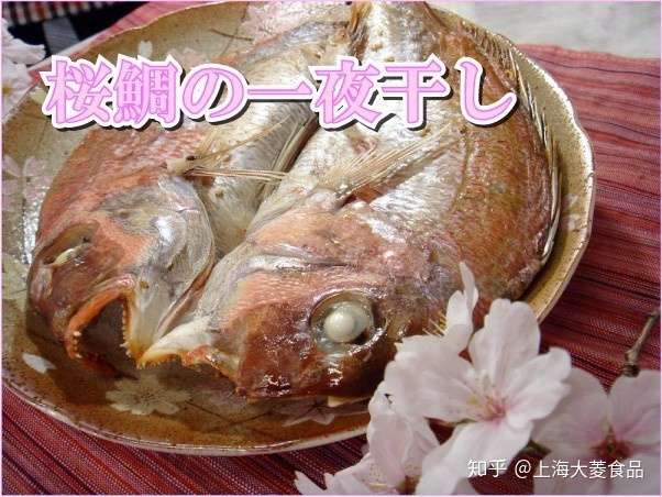 花中樱 鱼中鲷 知乎