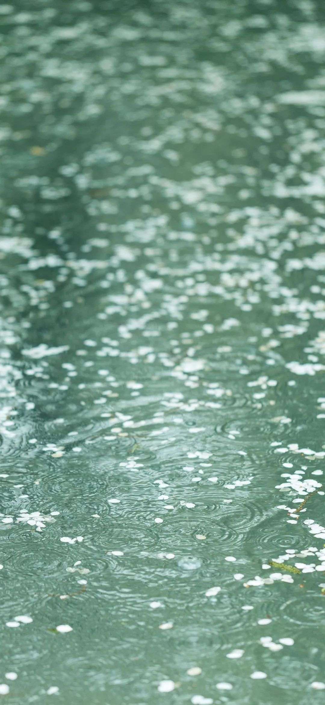 下雨天壁纸图片 好看的图片壁纸 下雨天高清壁纸 正在下雨的图片 下雨图片大全真实 Wallpaper下雨动态壁纸 知乎