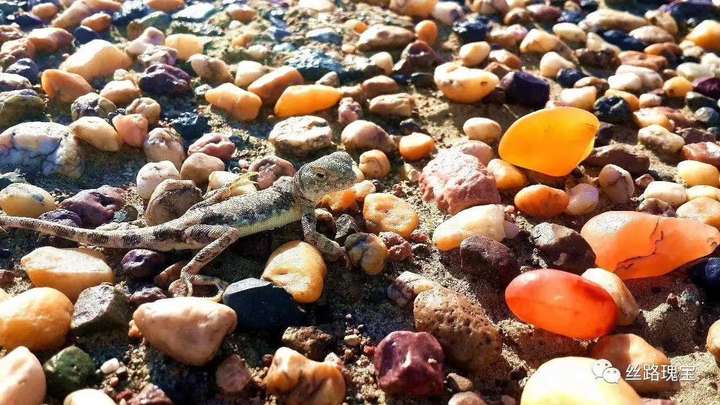 你们喜欢收集石头吗?