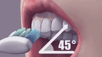 牙刷刷毛需要与牙齿外侧成45度左右角,以画圆圈的方式轻轻刷牙