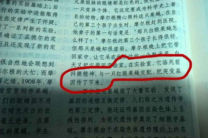 为什么会有回光返照