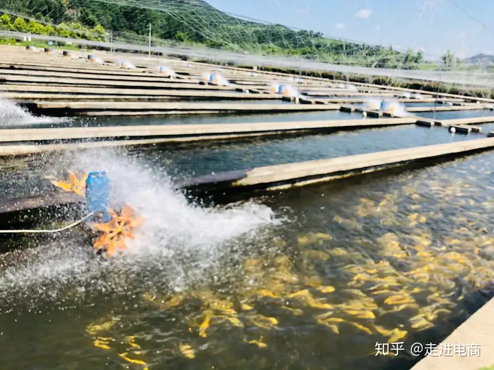 洛南县鸿盛产业园