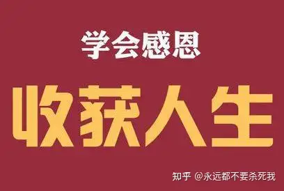 地球上最“濒危”的5种心爱动物，图5仅剩下4只，有1只在中国！🤓（十二种最濒危的动物之一是什么）