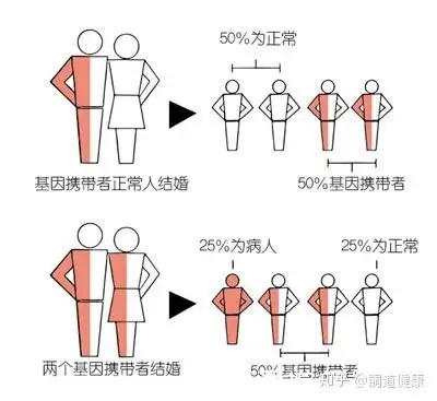 遗传病科普一文看懂地中海贫血的病因症状治疗预防