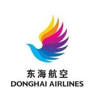 东海航空公司图片