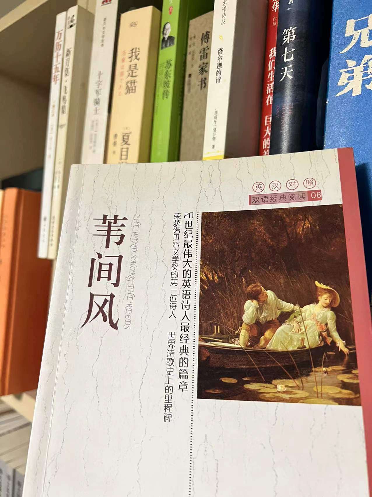 星空夜读 叶芝 苇间风 当你老了 知乎