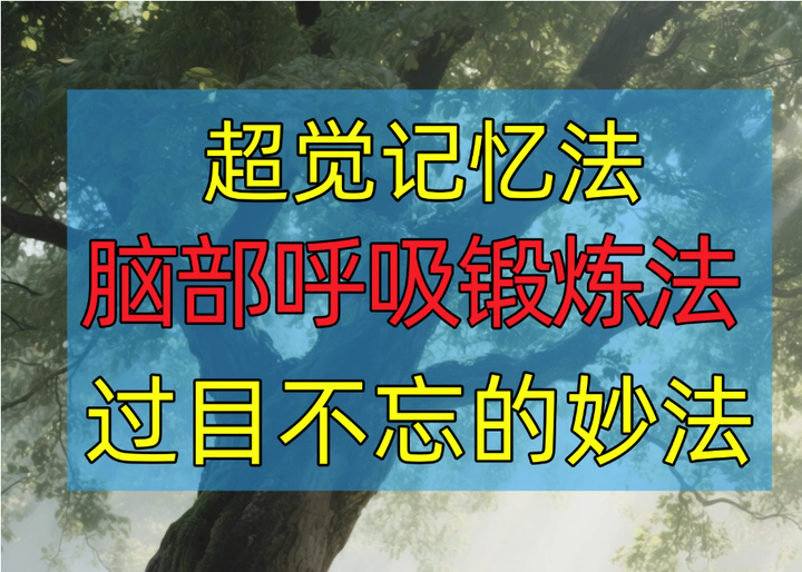 图片[1]-超觉记忆法-过目不忘修炼记忆力脑部呼吸锻炼法改造大脑健身气功养生训练方法【电商热销741】-暗冰资源网