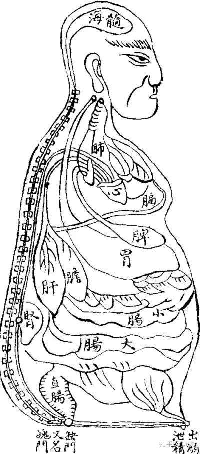 风水胎息论图解图片