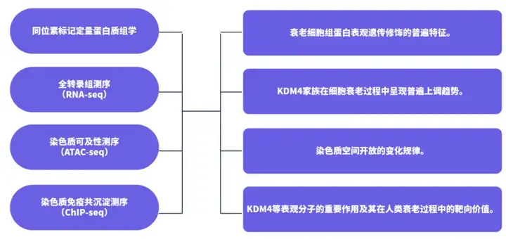 《热点│衰老过程中的表观遗传调控》