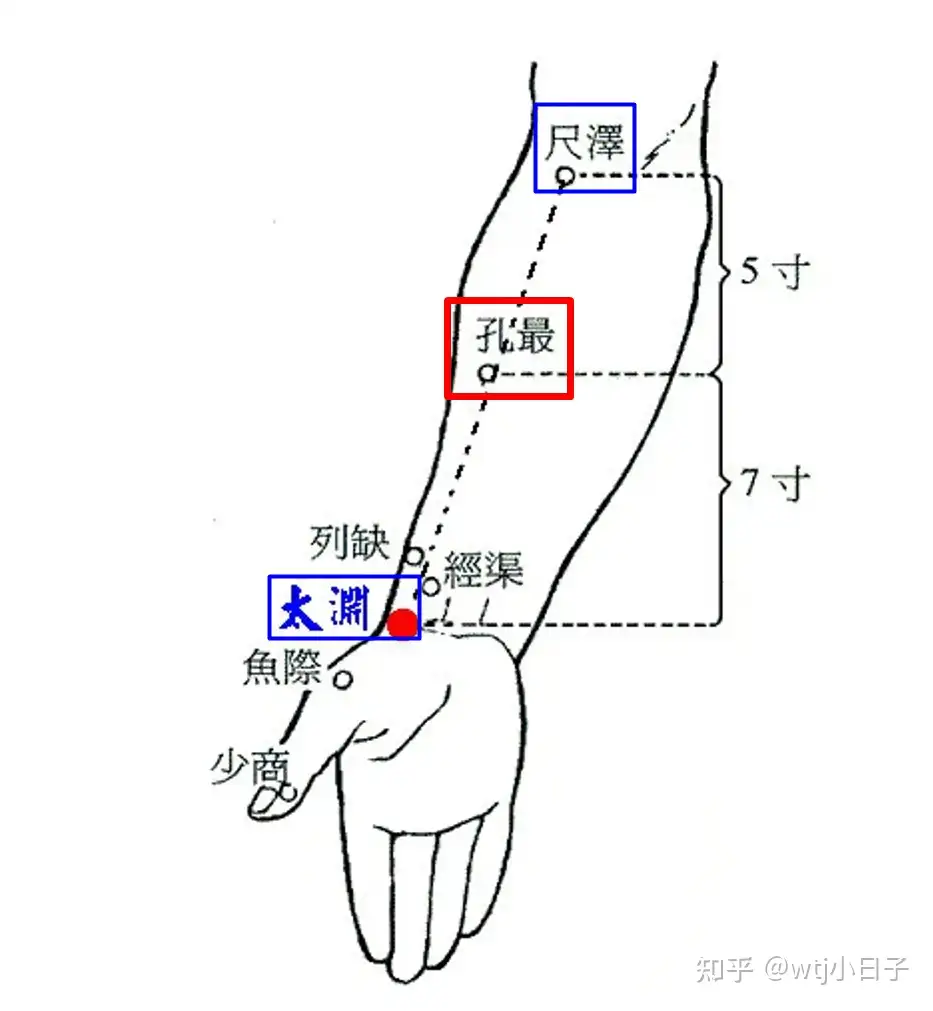 孔最穴（位置） - 知乎